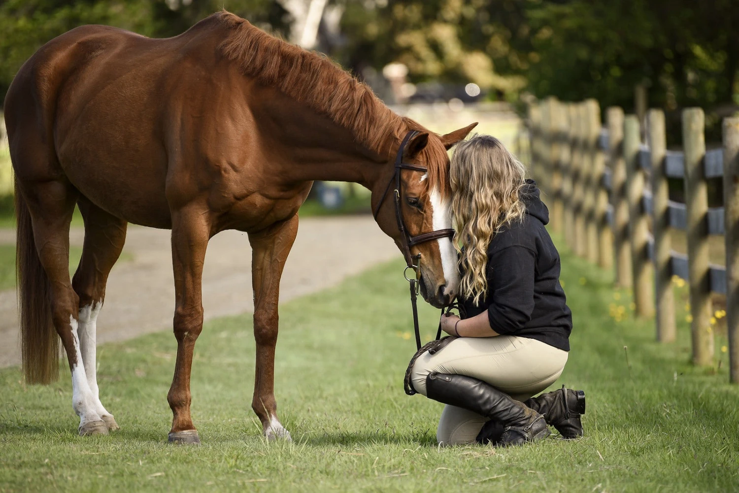 Riding Apparel Store -Riding Apparel Store Dean 2 fd1f62b5 7c16 450f 87c6 5