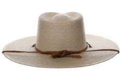 Biltmore Canyon Moon Rancher Hat