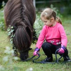 Roeckl Sports Roeckl Kansas Kids Gloves 6 Roeckl Sports Roeckl Kansas Kids Gloves -Riding Apparel Store kansas kids glove pink shaggy pony roeckl 18107.1582500338