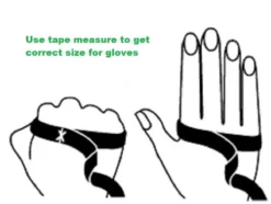 Heritage Carriage Driving Gloves 8 Heritage Carriage Driving Gloves -Riding Apparel Store sizing image 22642.1643492011